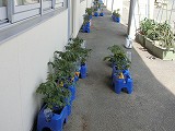 CIMG0960