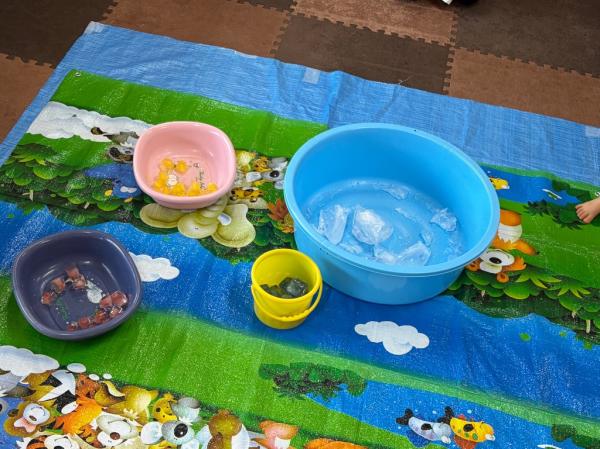 色とりどりの氷の準備オッケー👌