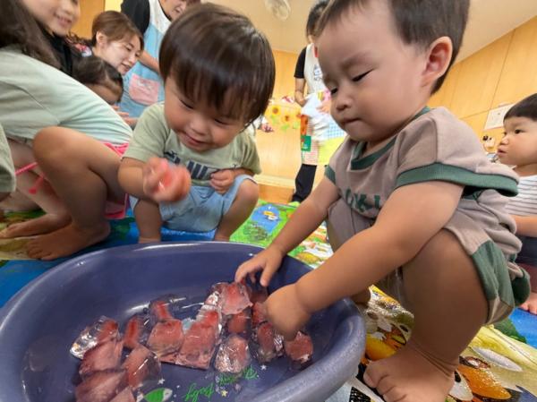 わー赤い氷だ!
