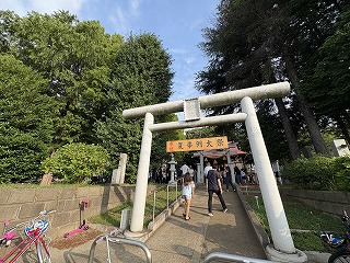 IMG_0315