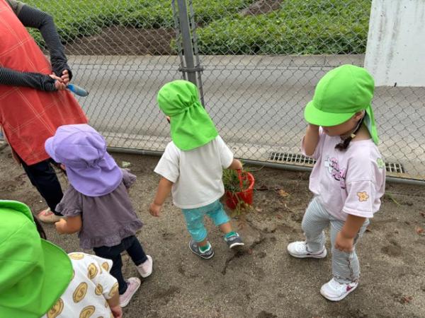 りす組さんも草取りありがとう💕