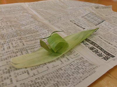 かたつむり🐌
