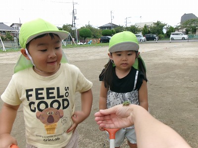カエルさん見つけた!🐸