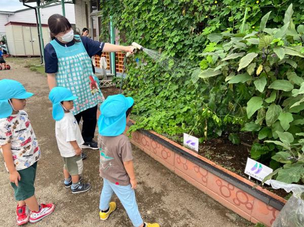 野菜の観察にも興味津々👀🌟