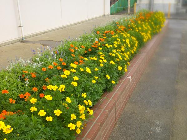DSCF0003