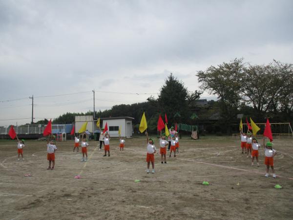 IMG_2980