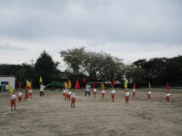 IMG_2981