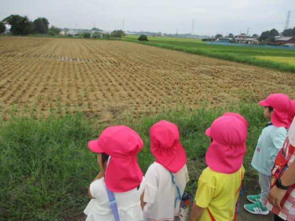 あれ❓こっちは何もな〜い❗