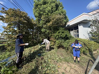 IMG_1798