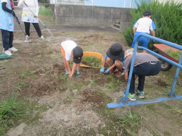 IMG_9378