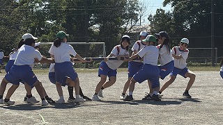 IMG_2467