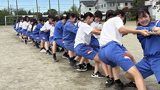 IMG_2981