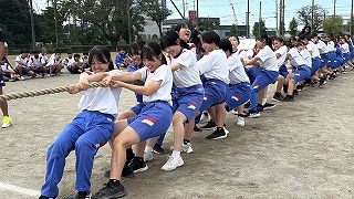 IMG_2991