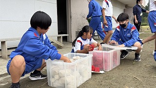 IMG_2767