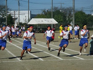1791685603_15