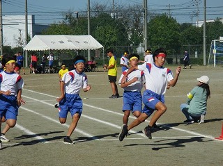 1791685605_15