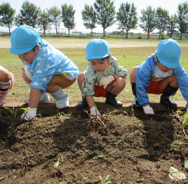 IMG_7339