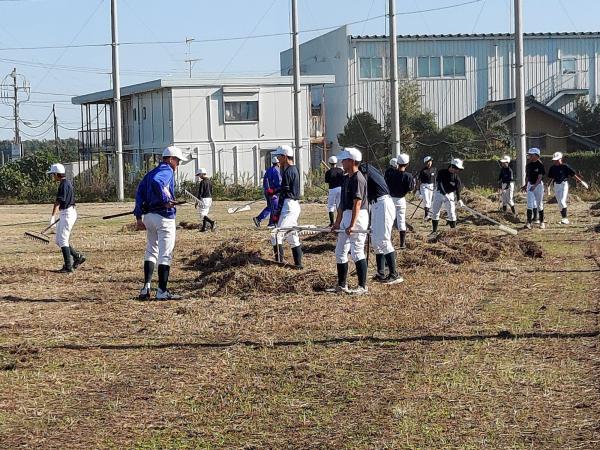 1000012390