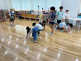 IMG_0229
