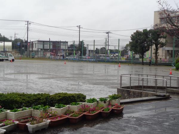 DSC03515