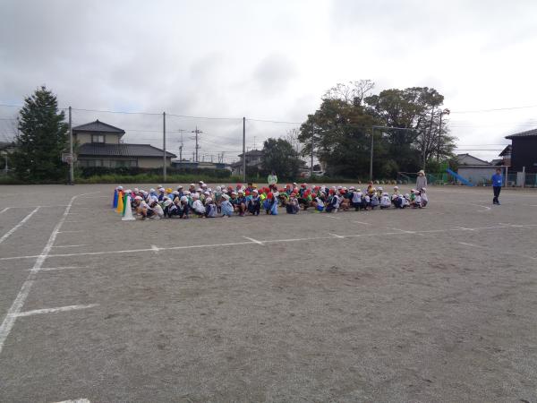 DSC03517