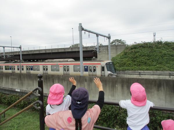 電車が見えた🚃