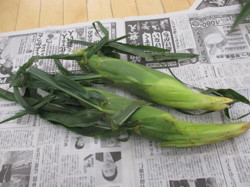 🌽とうもろこしの皮むきをしたよ🌽(ひよこ・うさぎ・きりん組)