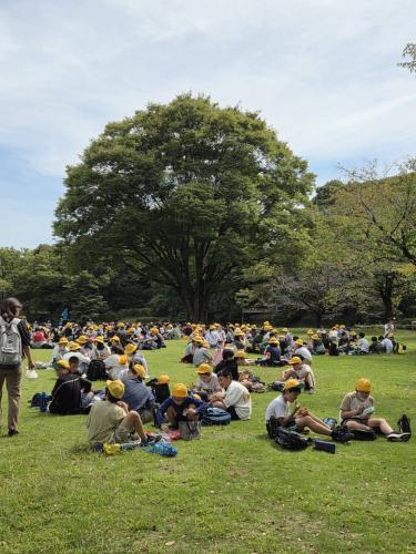 景色のよい外で昼食です