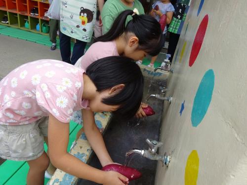 さつまいも洗い🍠