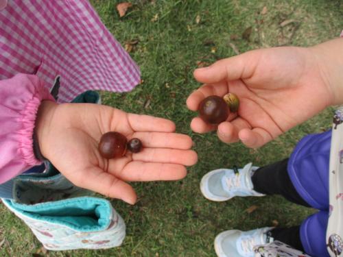 10月21日 🌼園外保育🌼福岡堰さくら公園(年中組)🌼