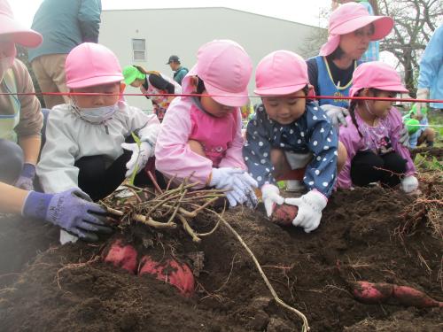 令和8年度つくばみらい市立すみれ幼稚園入園申込み結果のお知らせ