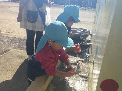 ひよこ組 お芋洗い🐣