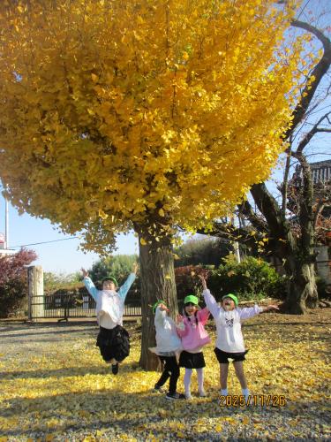 11/26 生活発表会の予行演習