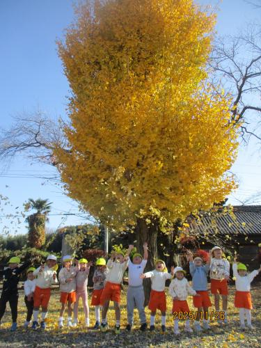 12/1 みんなで見せ合い&折り紙遊び🎵(年中組)