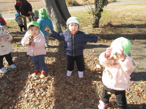 ひよこ組の様子🐣落ち葉で遊んだよ