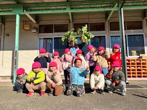 美味しいだいこん採れました🤗🌈