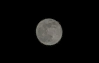 今年最後の満月、冬の夜空に輝く