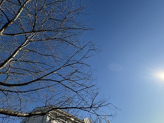 この冬一番の冷え込み 氷点下近い朝、青空の下を登校