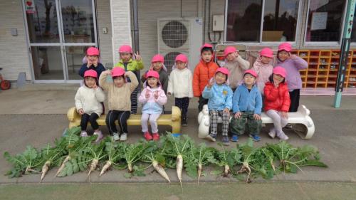 だいこん収穫祭🤗✨