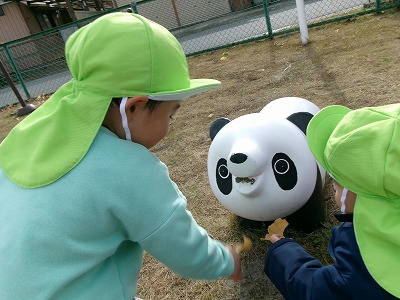 今週のひよこ組🐣