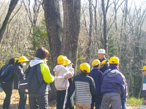 森林・林業体験学習(4年生)に行ってきました!!