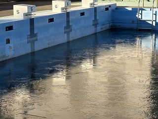 プールに氷