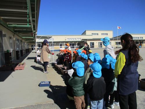 1月16日 チューリップの球根植え🌷(全学年)&保健指導(年少組)