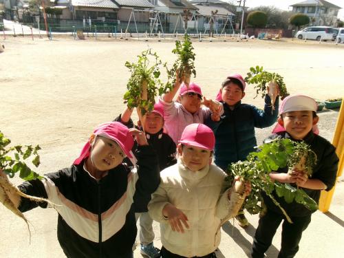 野菜の収穫・クッキング🍕