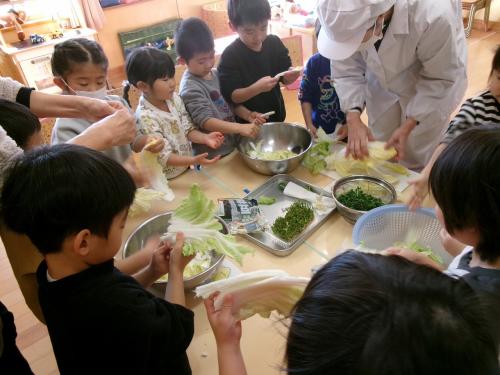 白菜ちぎり&豆苗リボベジ