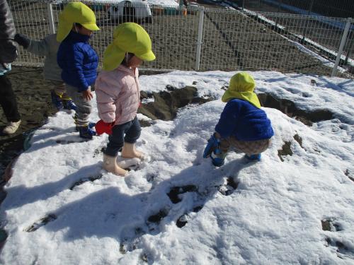 最近のいちご組🍓🎵