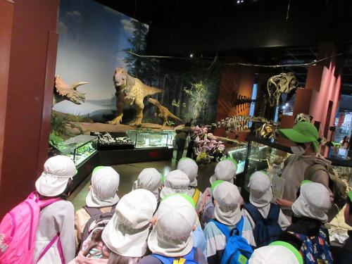 🐘思い出遠足🚌