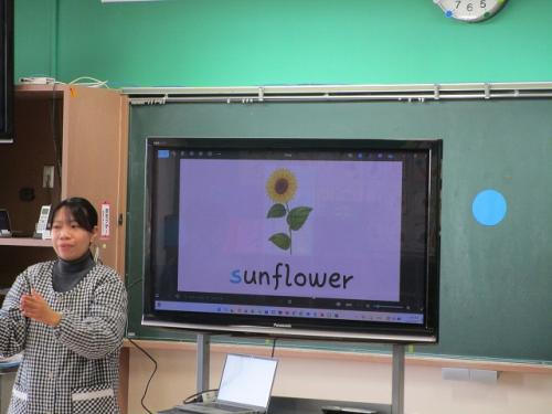 🌟英語教室(ぞう組🐘)🌟