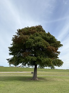 令和7年度「ラ―ケーション」実施のお知らせ
