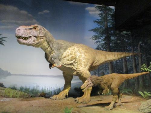 🦕楽しかったお別れ遠足🦖